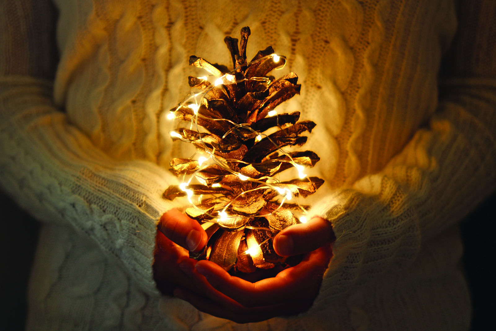 04c pine cone-hand lights.jpg (2.61 MB)